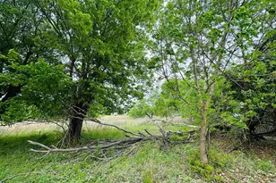 Tbd Luckenbach West St, Llano, TX 78643 - Photo 1