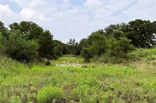 505 E Fm 501, Cherokee, TX 76832 - Photo 4
