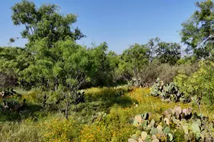 204 Lagitos Ln, Llano, TX 78643 - Photo 28