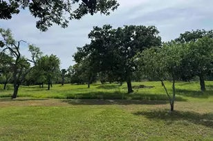 401 Lillian Dean, Buchanan Dam, TX 78609 - Photo 22