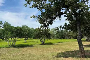 401 Lillian Dean, Buchanan Dam, TX 78609 - Photo 16