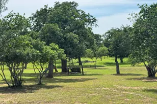 401 Lillian Dean, Buchanan Dam, TX 78609 - Photo 30