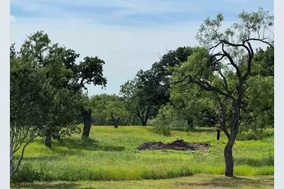 401 Lillian Dean, Buchanan Dam, TX 78609 - Photo 22