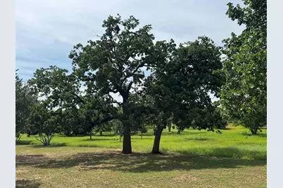 401 Lillian Dean, Buchanan Dam, TX 78609 - Photo 28