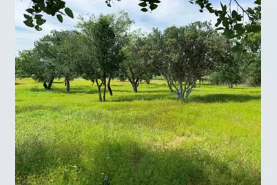 401 Lillian Dean, Buchanan Dam, TX 78609 - Photo 30