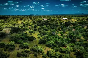 193 Co Rd 116, Llano, TX 78643 - Photo 4