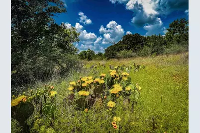 193 County Road 116, Llano, TX 78643 - Photo 32
