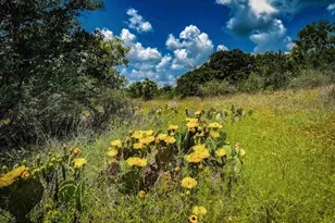 193 Co Rd 116, Llano, TX 78643 - Photo 32