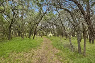 300 Bluff Rd, Spicewood, TX 78669 - Photo 38