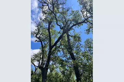 Lot 28 Twisted Oak Drive, Horseshoe Bay, TX 78657 - Photo 14