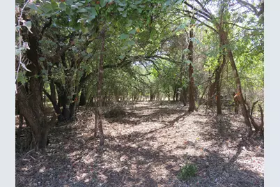 606 Sandy Mountain Drive, Sunrise Beach, TX 78643 - Photo 2