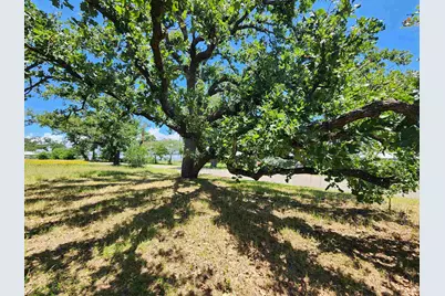 1011 Pebble Drive, Buchanan Dam, TX 78609 - Photo 4