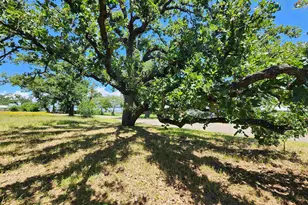 1011 Pebble Dr, Buchanan Dam, TX 78609 - Photo 4
