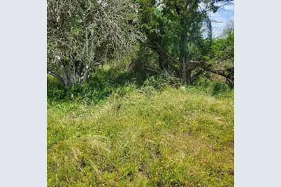 Lots 739 & 740 Norwood Drive, Granite Shoals, TX 78654 - Photo 6