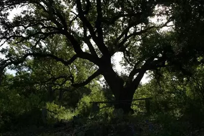 Lot 13042 - 517 Branding Iron, Horseshoe Bay, TX 78657 - Photo 20