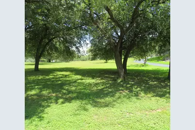 Lot 67 Bridgepoint Drive, Kingsland, TX 78639 - Photo 1