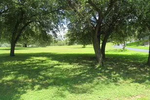 Lot 67 Bridgepoint Dr, Kingsland, TX 78639 - Photo 1