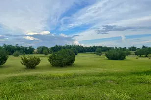 1605 Co Rd 210, Bertram, TX 78605 - Photo 2