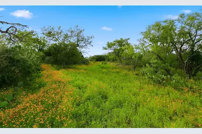 Tbd Lillian Dean/Jennifer Street, Buchanan Dam, TX 78609 - Photo 12