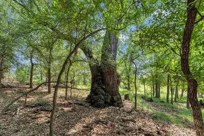 627 Ranch Road 2323, Llano, TX 78643 - Photo 42