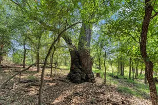 627 Ranch Rd 2323, Llano, TX 78643 - Photo 42