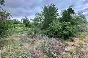 Lot 249 Cactus Trail, Kingsland, TX 78639 - Photo 1