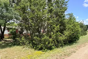 100 Creedmore, Liberty Hill, TX 78642 - Photo 16