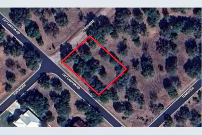 501 Cat Canyon, Horseshoe Bay, TX 78657 - Photo 2