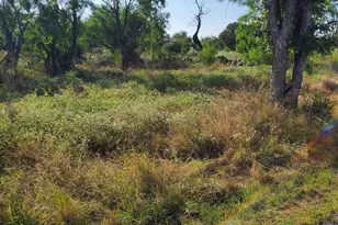 Lots 376 & 377 Woodcrest Dr, Granite Shoals, TX 78654 - Photo 1