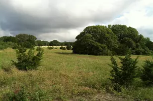1435 Co Rd 108, Burnet, TX 78611 - Photo 2