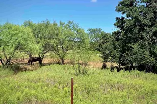 Buffalo Spring Circle, Valley Spring, TX 76885 - Photo 1