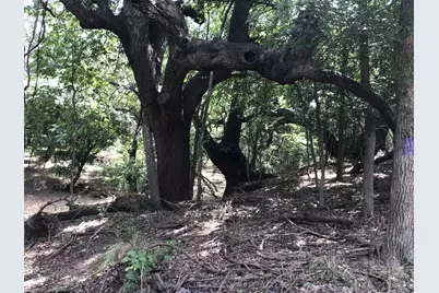 Corner Llano Oaks and 152, Llano, TX 78643 - Photo 16