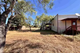711 Dallas St, Kingsland, TX 78639 - Photo 4