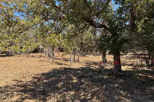 Lots 288 & 289 Maple Dr, Granite Shoals, TX 78654 - Photo 1
