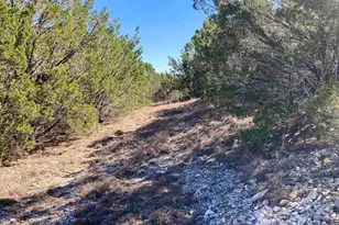 Lot 231 Whitewater Dr, Bertram, TX 78605 - Photo 4