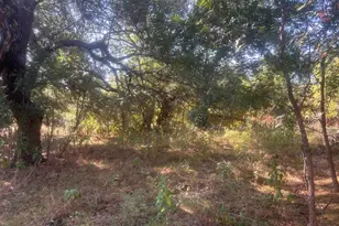 138 Offer Ln Ln, Llano, TX 78643 - Photo 40