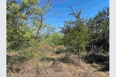 Lt 148 Concho Trail, Kingsland, TX 78639 - Photo 4