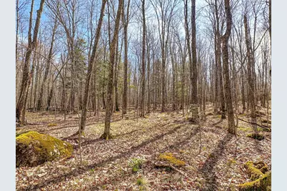 10A Bass Lake Road, Park Falls, WI 54552 - Photo 1