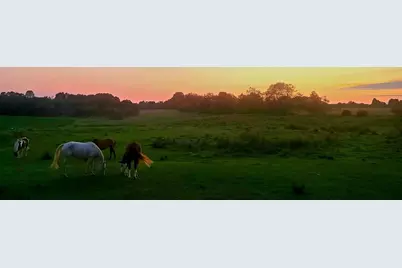 1982 N Crestwood Road, Antigo, WI 54409 - Photo 1