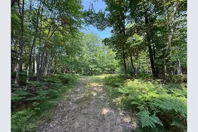 Xxx County Highway A, Iron Ridge, WI 54847 - Photo 1