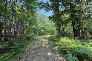 Xxx County Hwy A, Iron Ridge, WI 54847 - Photo 1