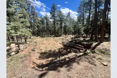 8231 Oak Dr, Rye, CO 81069 - Photo 1