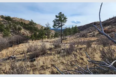 961 S Shannon Trail, Cotopaxi, CO 81223 - Photo 1