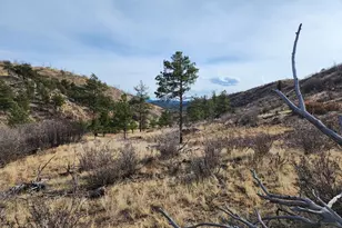 961 S Shannon Trail, Cotopaxi, CO 81223 - Photo 1