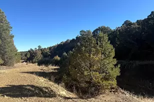 8100 La Belle Trail, Trinidad, CO 81082 - Photo 1