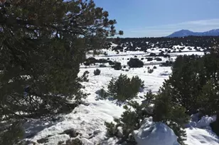 Lot 620 Rio Cucharas, Walsenburg, CO 81089 - Photo 1