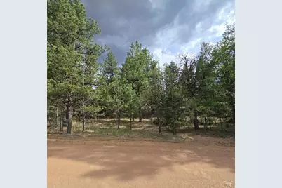 182 Wasatch Ln, Florissant, CO 80816 - Photo 1