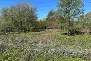 0 US 20 Hwy, New Carlisle, IN 46552 - Photo 1