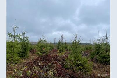 1 Xx Oppelt Road, Onalaska, WA 98570 - Photo 1