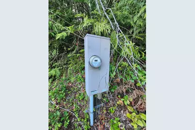 992 Sunrise Road, Brinnon, WA 98320 - Photo 12